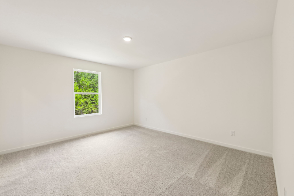 A room with a window and a tree.