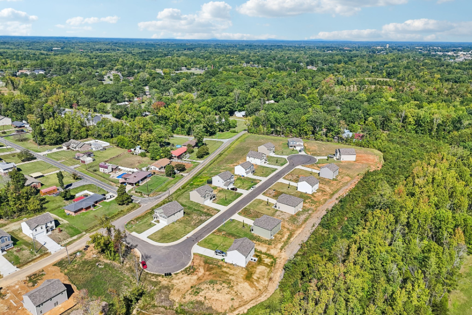 A group of houses in a wooded area.