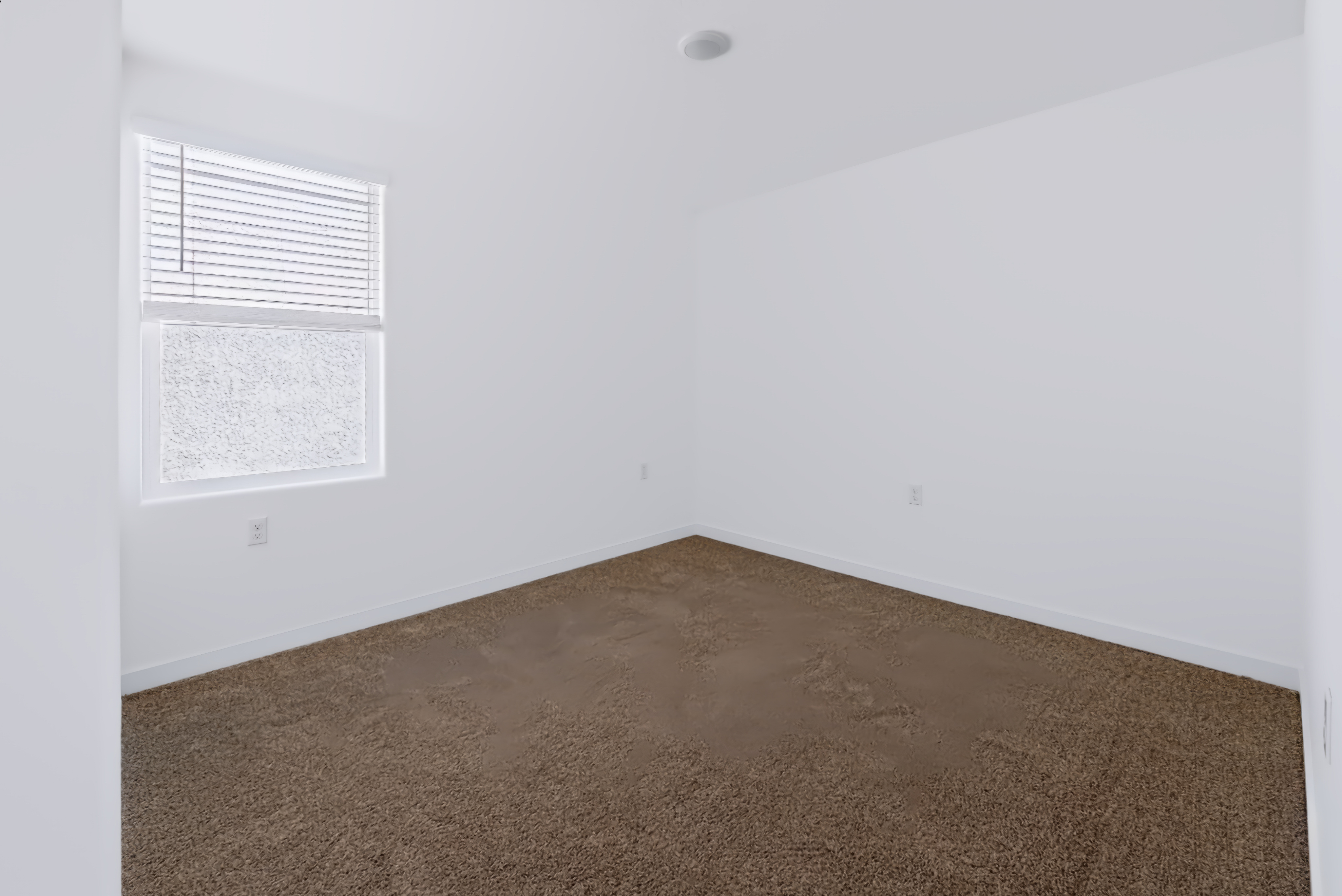 A room with a carpet and a window.